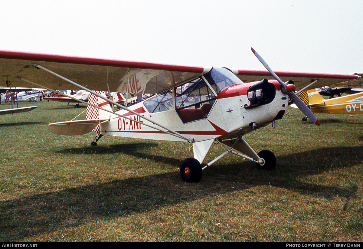 Aircraft Photo of OY-ANF | Piper J-3C-65 Cub | AirHistory.net #875302