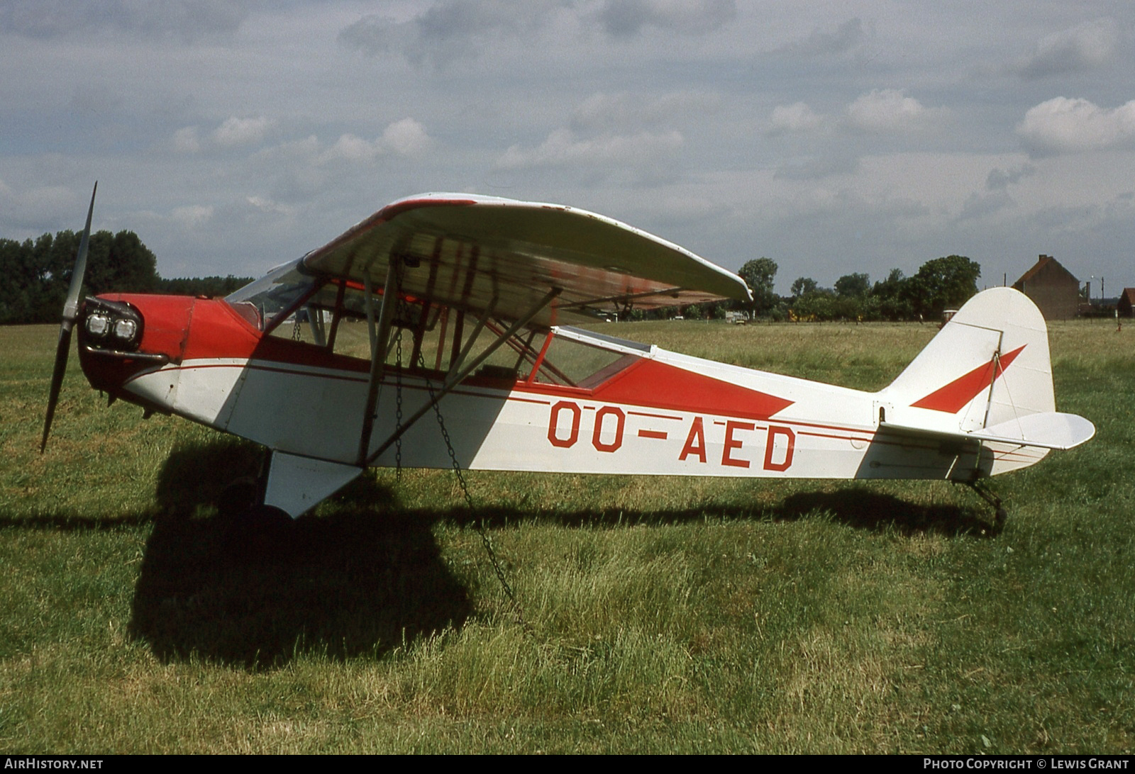 Aircraft Photo of OO-AED | Piper J-3C-90 Cub | AirHistory.net #875415