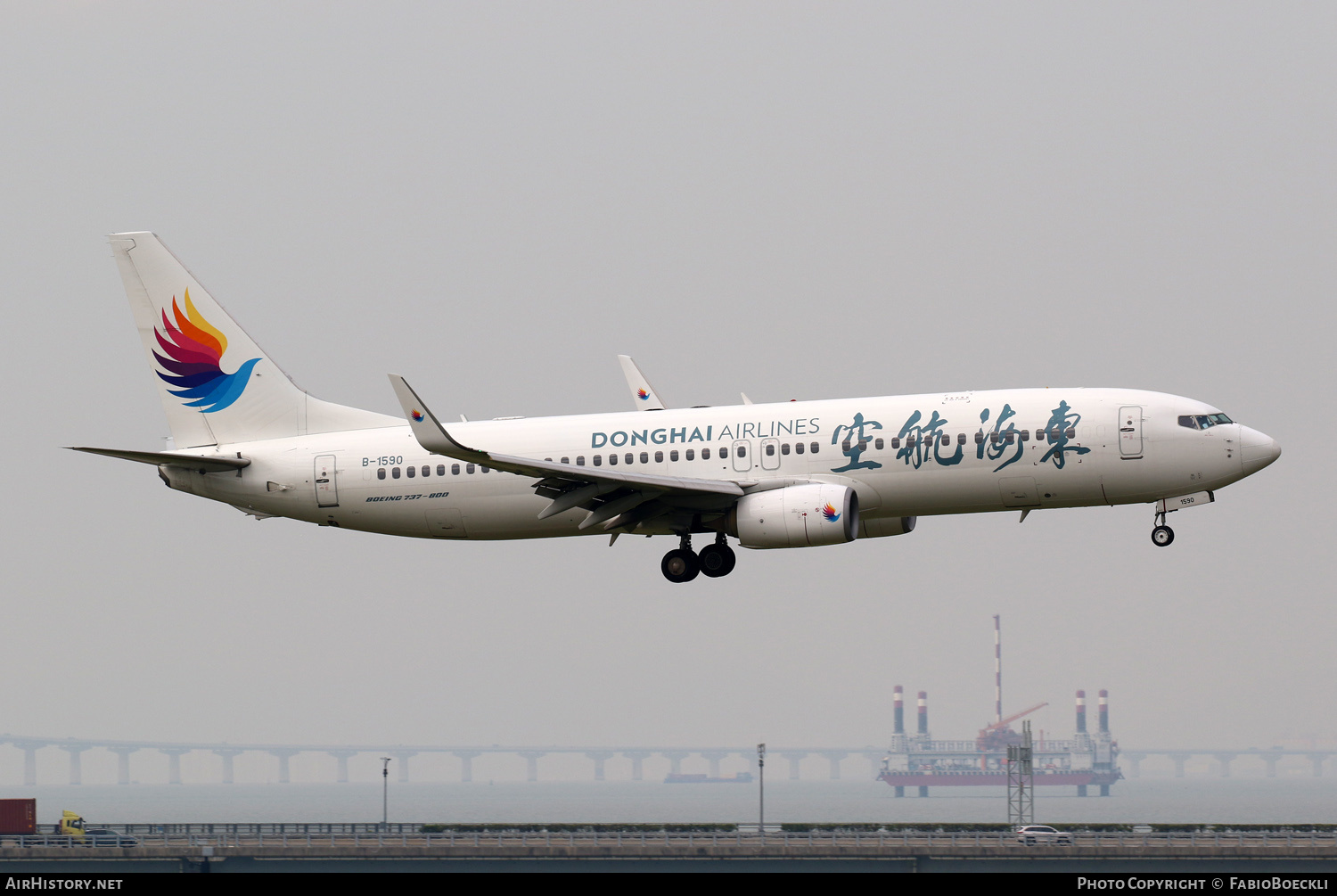 Aircraft Photo of B-1590 | Boeing 737-83Z | Donghai Airlines | AirHistory.net #875950