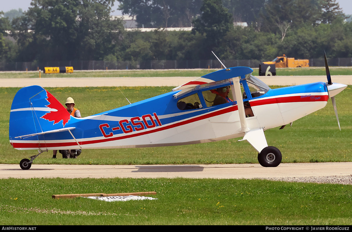 Aircraft Photo of C-GSOI | Bearhawk Bearhawk | AirHistory.net #876966